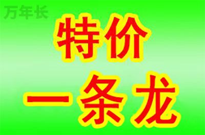 南京江苏省南京市鼓楼区每年墓地费用大概是多少？